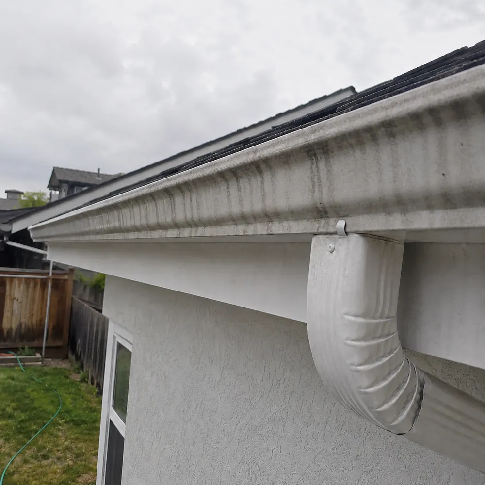 Gutter clear-out and brightening, before